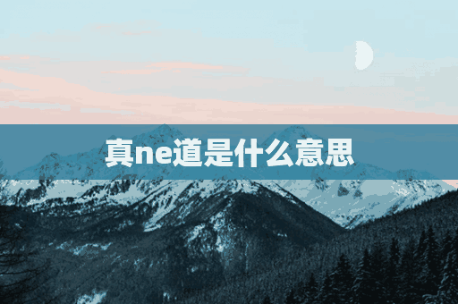 真ne道是什么意思(ne道是什么意思网络用语)